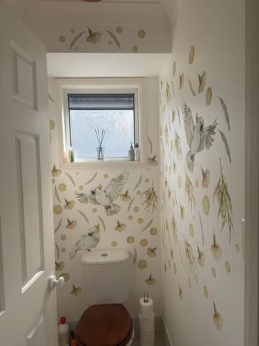 Customer photo review of Cockatoo Bird Wall Decals