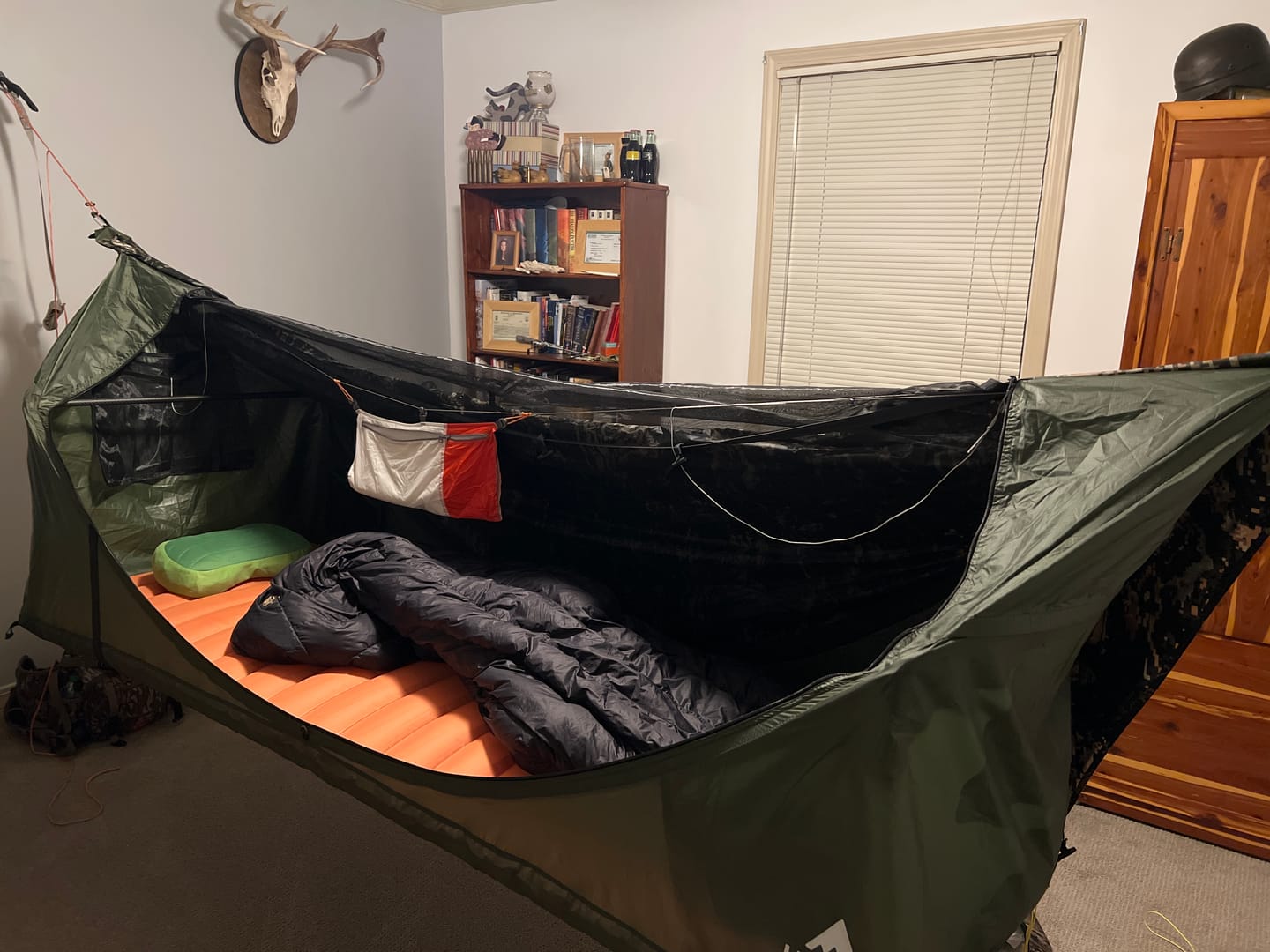 Customer photo review of Haven XL