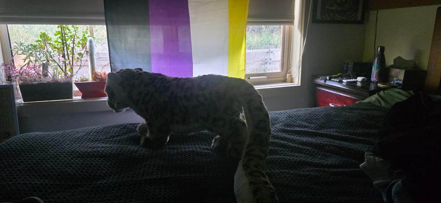 Customer photo review of Snow Leopard Cat Soft Stuffed Plush Toy