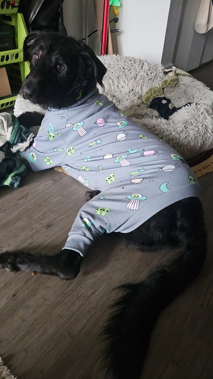 Customer photo review of Dog Pajama - Alien