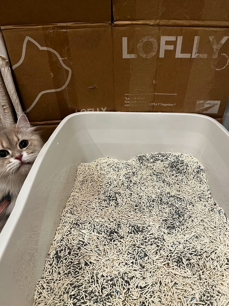Customer photo review of 4 In 1 Mixed Cat Litter