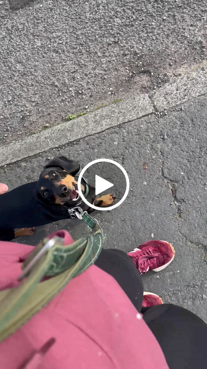 Customer video review of Multi-Way Lead