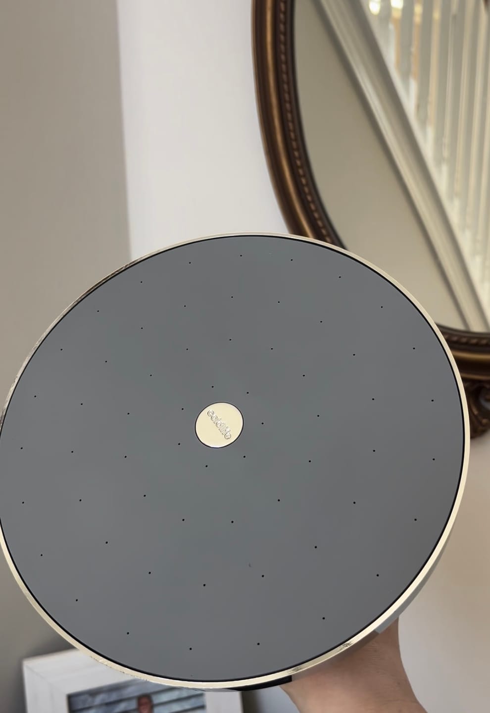 Customer photo review of Ultimate Showerhead