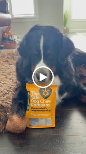 Customer video review of Long-Lasting Yak Chews — 6 Flavor Pack