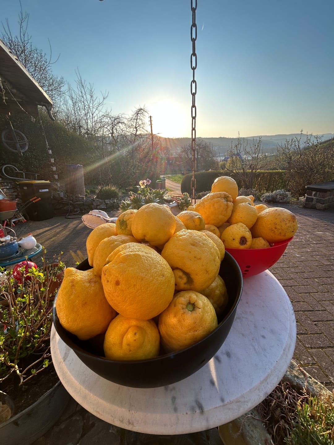 Customer photo review of Ätna Zitronen Bio aus Sizilien 4kg Box Sparpreis %