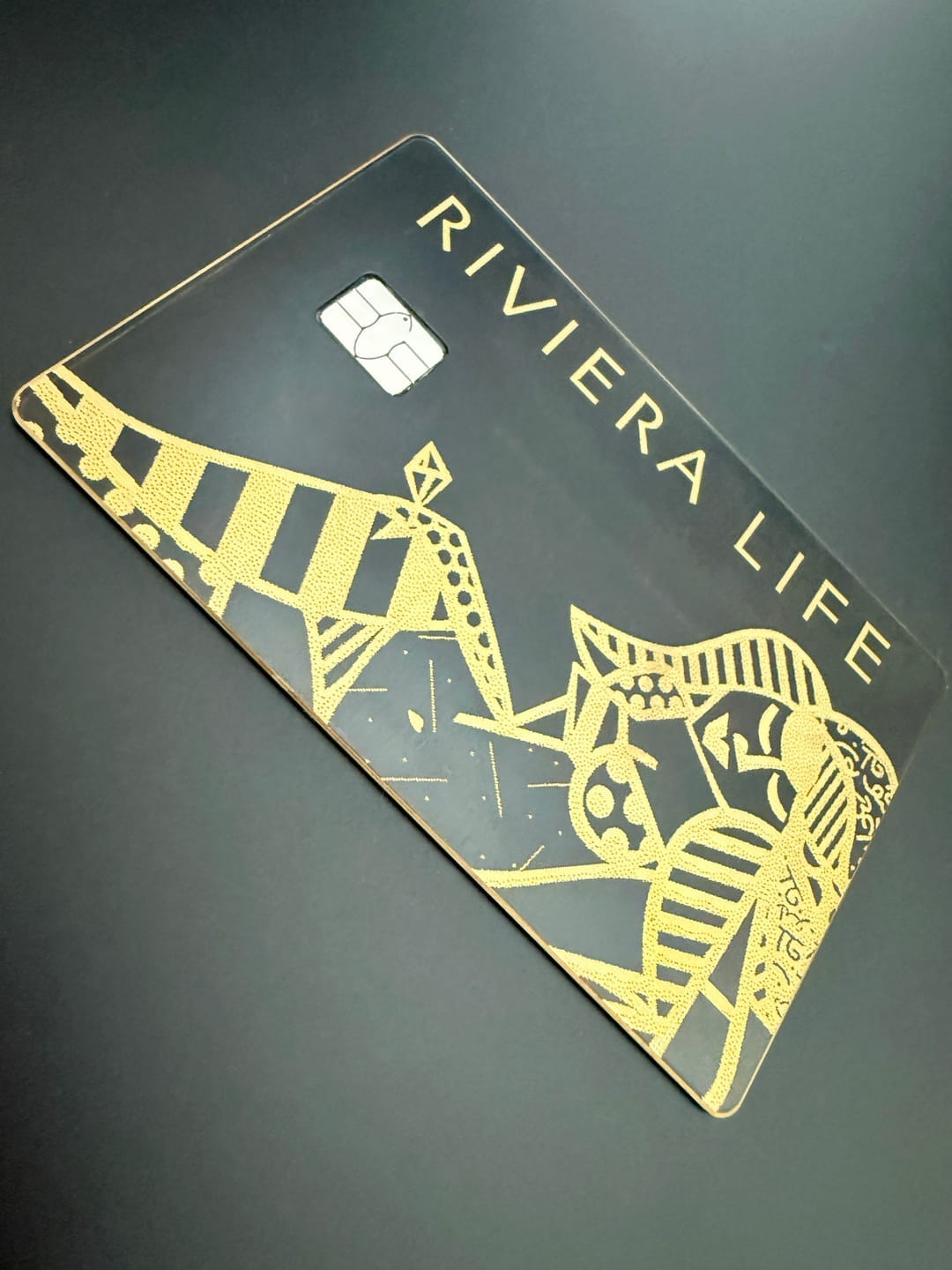 Customer photo review of Lion-Card