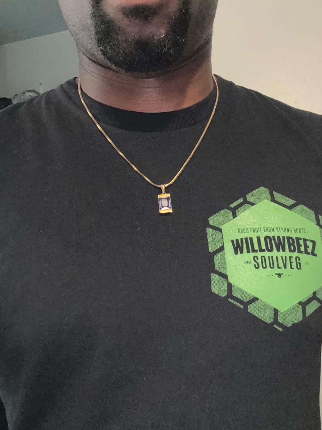Customer photo review of Chip - Tanzanite