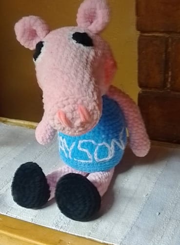 Customer photo review of Alize Velluto