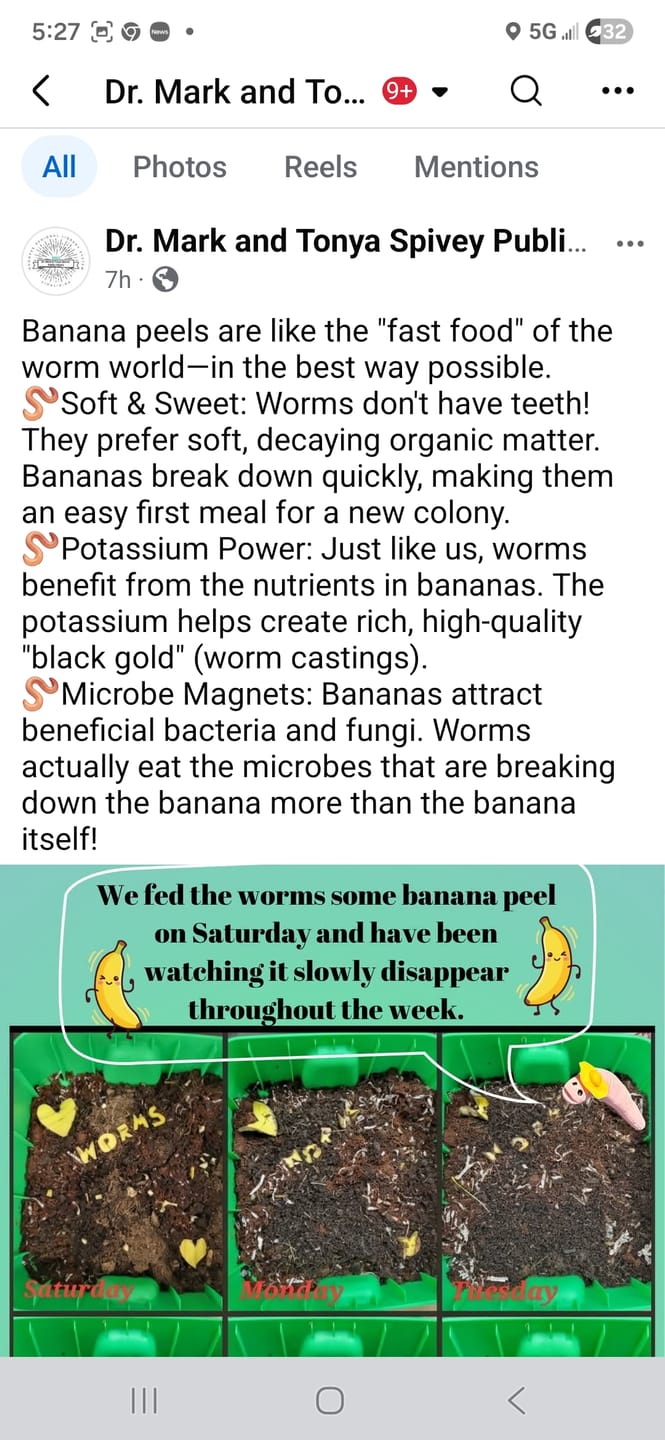 Customer photo review of Red Wigglers Composting Worms