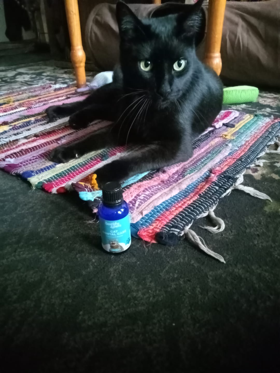 Customer photo review of Cat Dental Care & Bad Breath Remedy