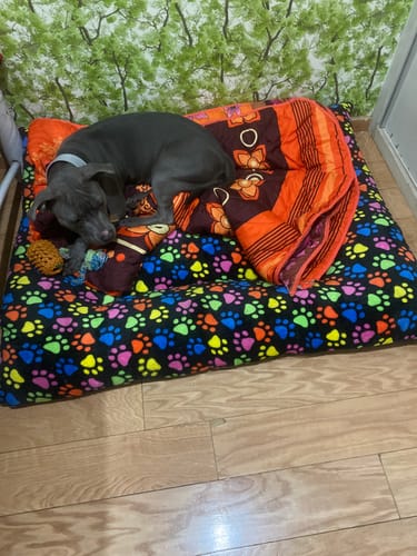 Customer photo review of CT2320 1 pieza de CAMA para mascota