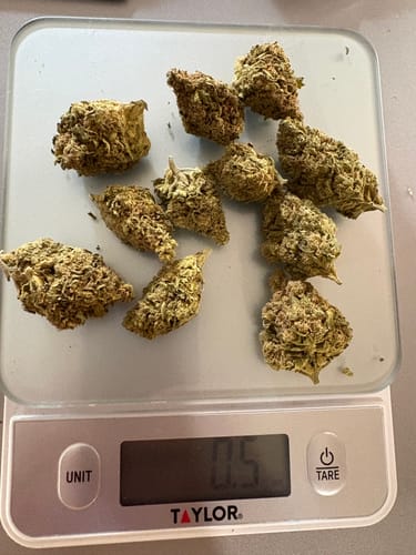 Customer photo review of Black Ice THCA Flower Ounce (28g)