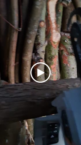 Customer video review of 18V Nexxsaw Compact Cordless Chainsaw V2 - Incl. 2.0Ah Battery and 2.4A Charger