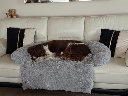 Customer photo review of Calming Couch Bed