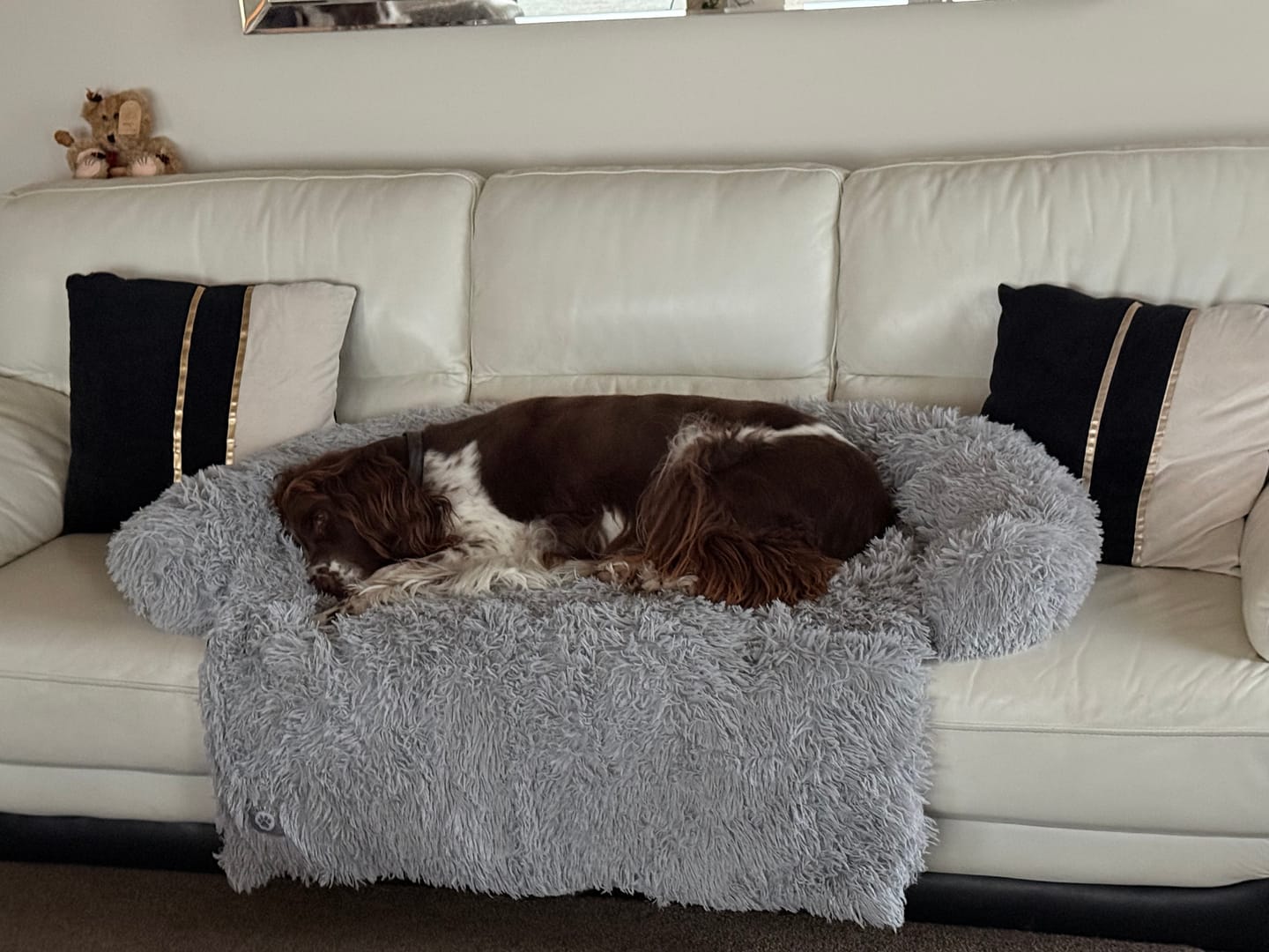 Customer photo review of Calming Couch Bed