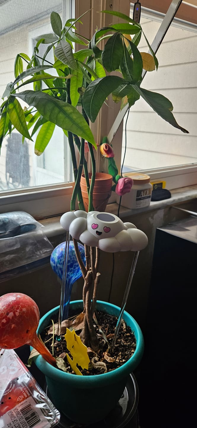 Customer photo review of Chloe the Cloud