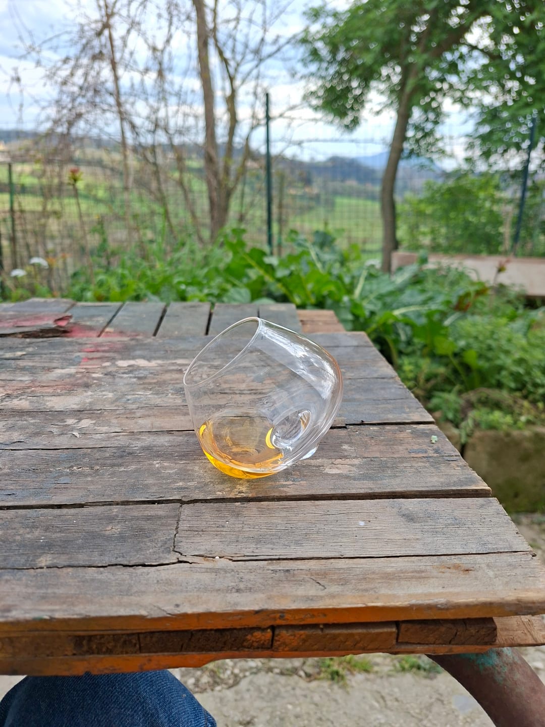Customer photo review of Aequilibrium Spirit Glass