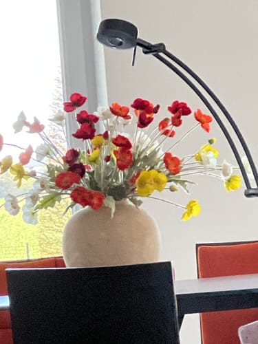 Customer photo review of Terra vase - Beige