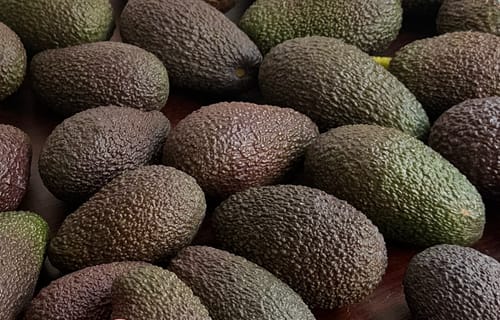 Kundenfoto von vielen ganzen Bio-Mini-Hass-Avocados mit dunkler, genoppter Schale.