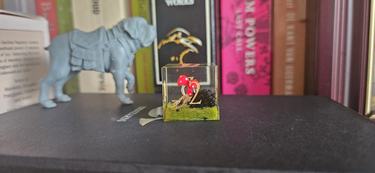 Customer photo review of Red Mushroom Resin Dice Set
