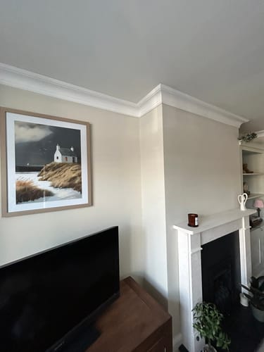 Customer photo review of Homeward Bound By Sabrina Roscino