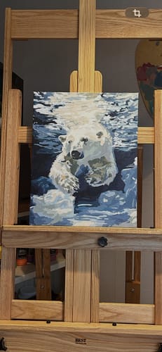 Customer photo review of Swim Bear