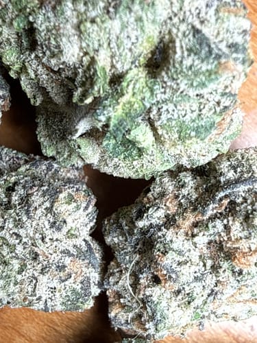 Customer's close-up of dense, frosty Headband flower buds.