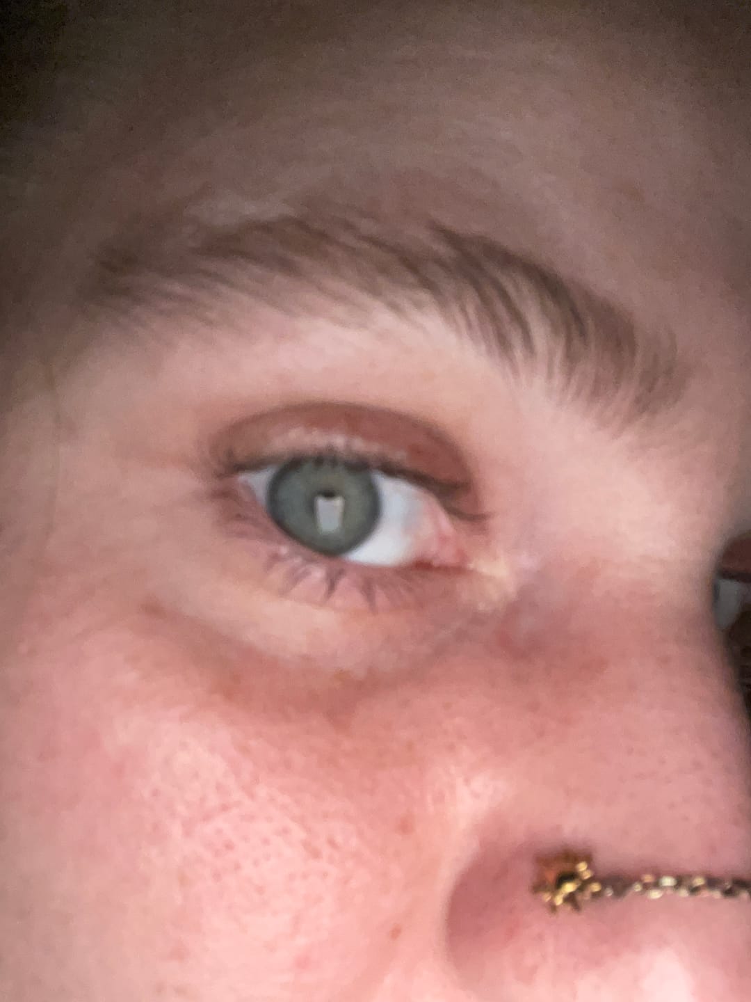 Customer photo review of Brow Lash Serum – Vizzela
