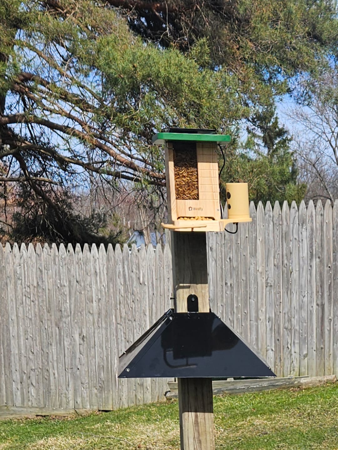 Customer photo review of Birdfy Feeder Wood - Wooden Smart Bird Feeder with Camera