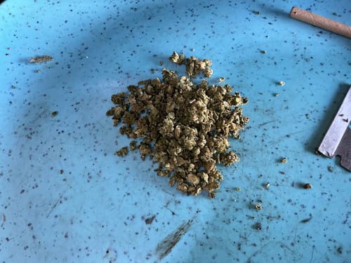 Customer photo review of London Pound Cake THCA Flower