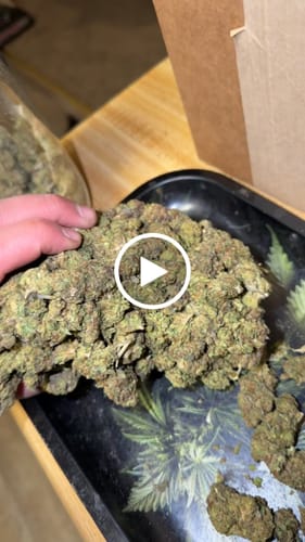 Customer video review of Bulk MixLight Flower