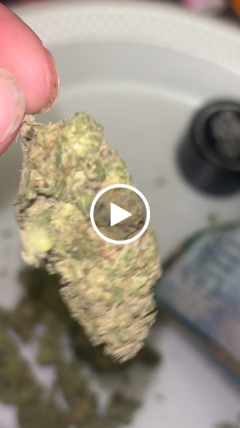 Customer video review of Candy Fumes Light Assist THCA