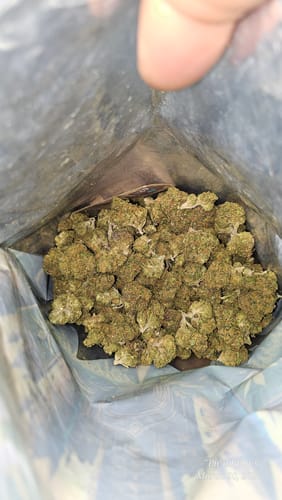 Customer photo review of Jet Fuel Gummie - Indoor THCA (Full Size)