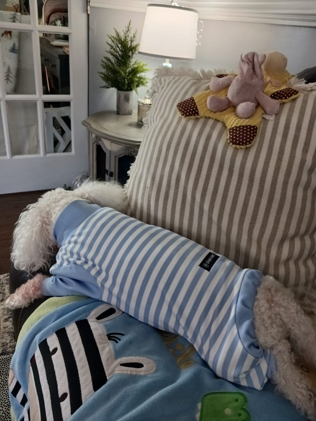Customer photo review of Dog Pajama - Blue Stripes