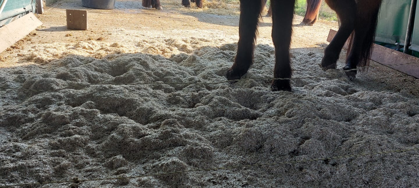 Customer photo review of ECOflax Lein-Einstreu