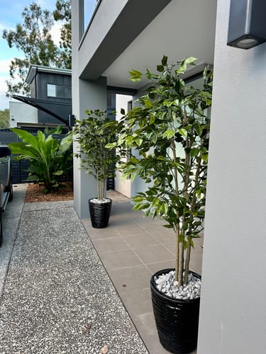 Customer photo review of Artificial Ficus Tree 180cm Nearly Natural UV Resistant