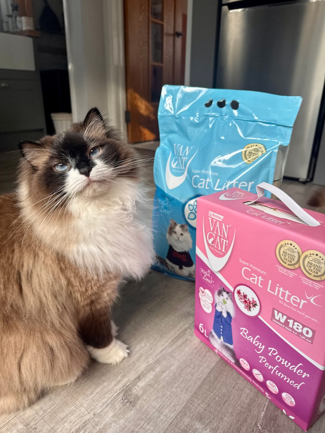 Customer photo review of All-Rounder Scented Cat Litter (W225) 10KG
