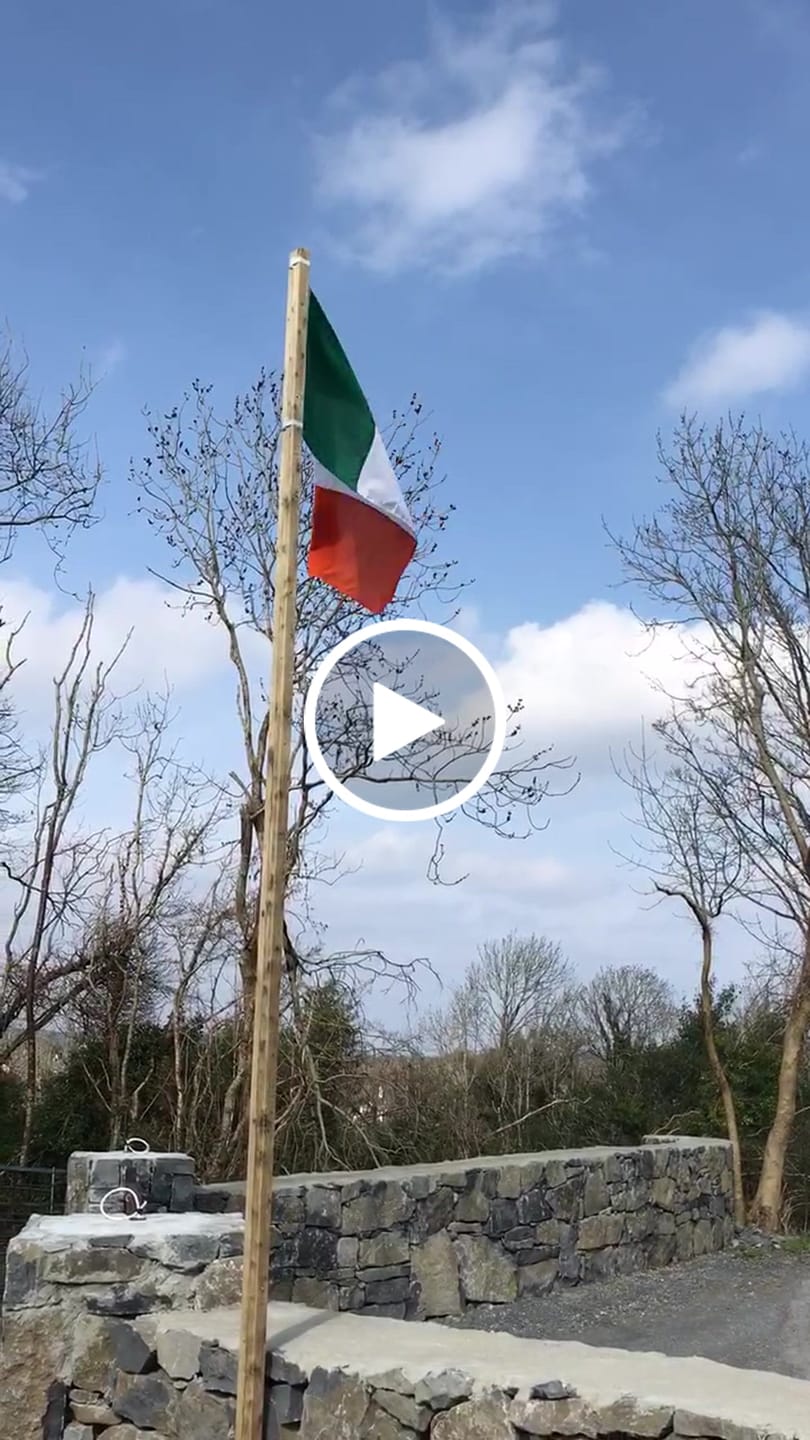 Customer video review of Ireland National Flag