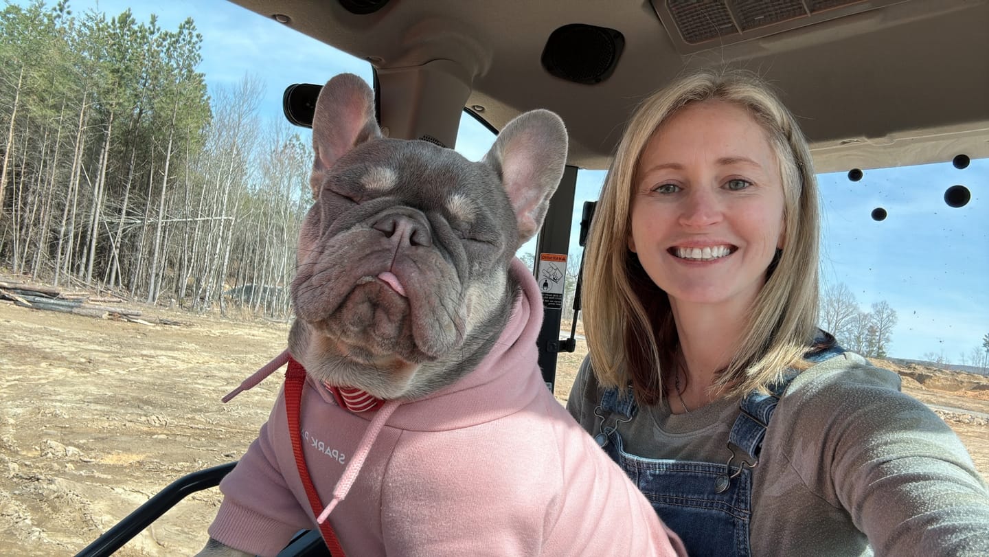 Customer photo review of The USA Dog Hoodie - Grey