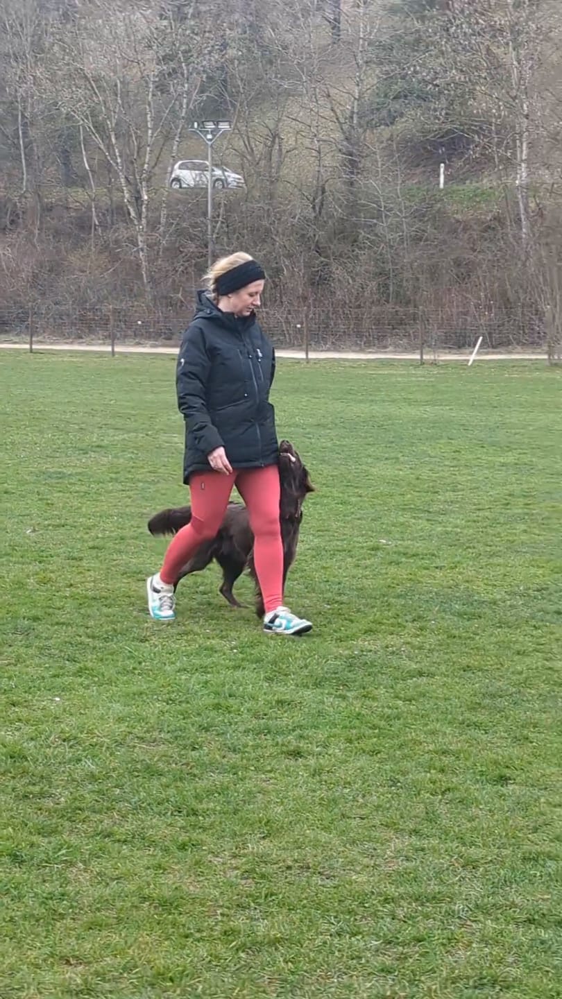 Customer photo review of KeepDry Overgangsjakke 2.0 | Sort | Kato