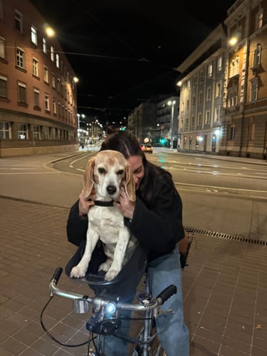 Customer photo review of Kvisp Dog Bike Carrier