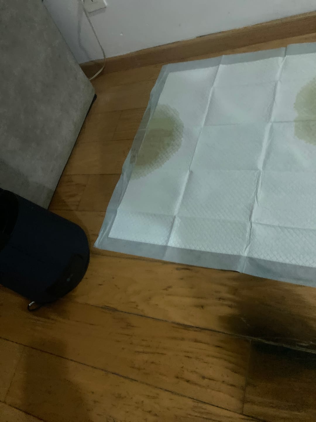 Customer photo review of CT0232 1 Paquete Con 10 Piezas De Tapete Entrenador