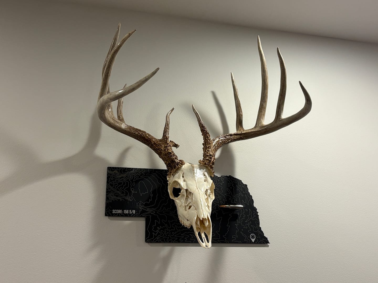 Customer photo review of Medium Game Plaques