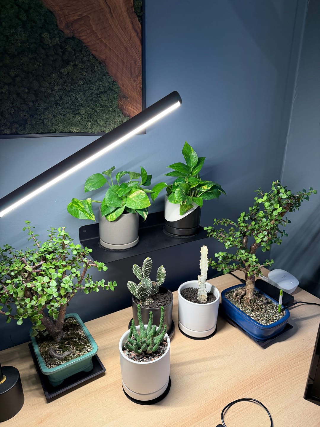 Customer photo review of Modern Metal Floating Shelf - Minimalist Wall Storage & Display