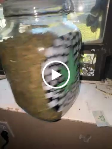 Customer video review of Bulk Indoor Trim