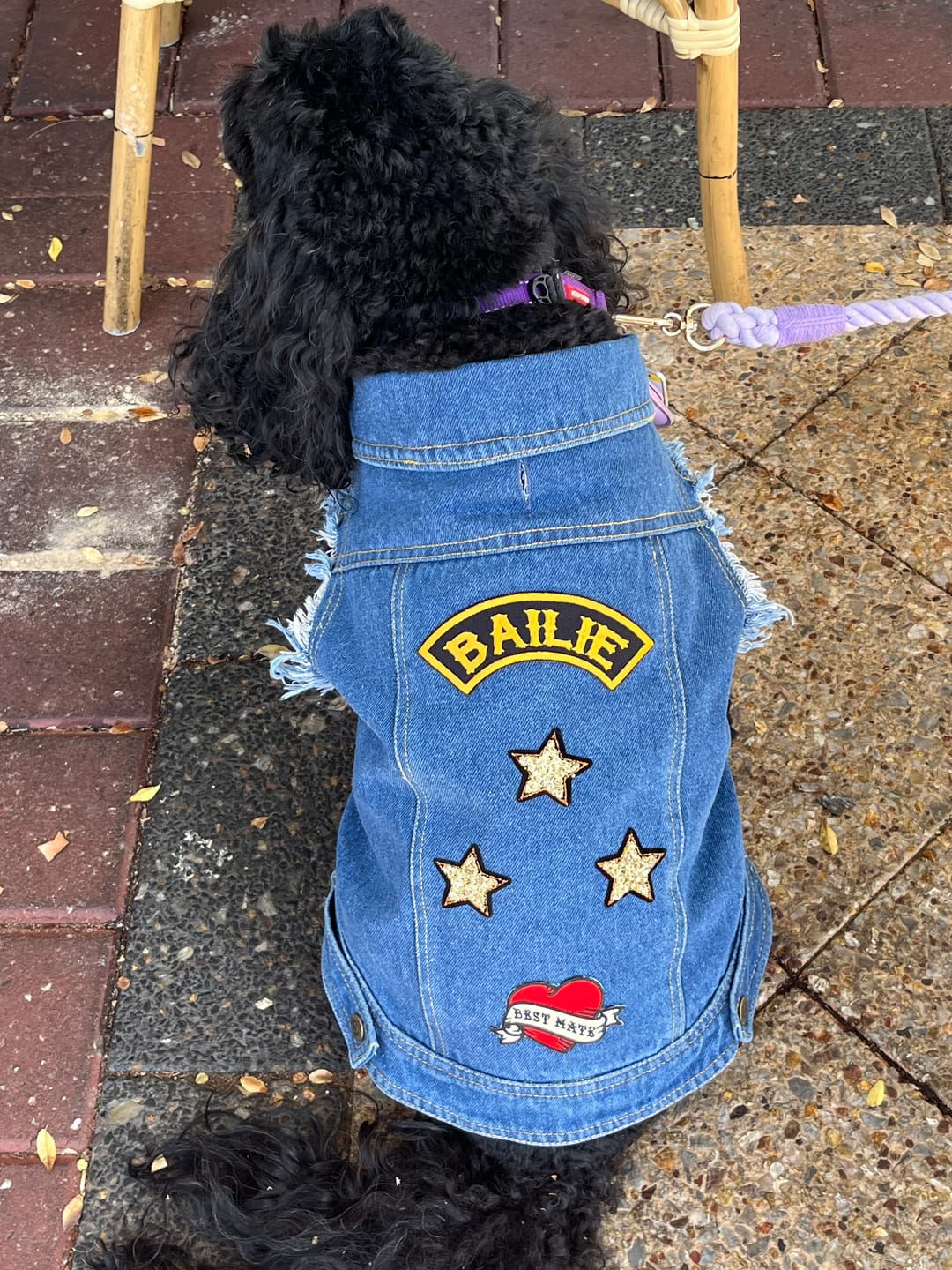 Customer photo review of Denim Dog Vest Raw Blue - Unpatched