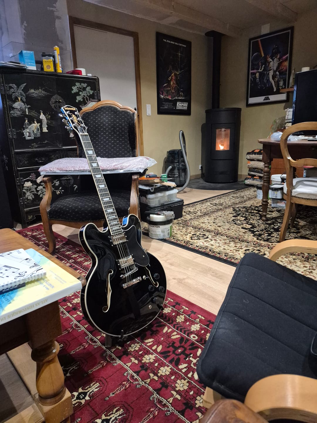 Customer photo review of Donner DJP-1000 Guitare Jazz Demi-Caisse