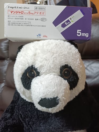 購入者が投稿した、パンダのぬいぐるみの頭の上に置かれた「マンジャロ5mg」の箱。