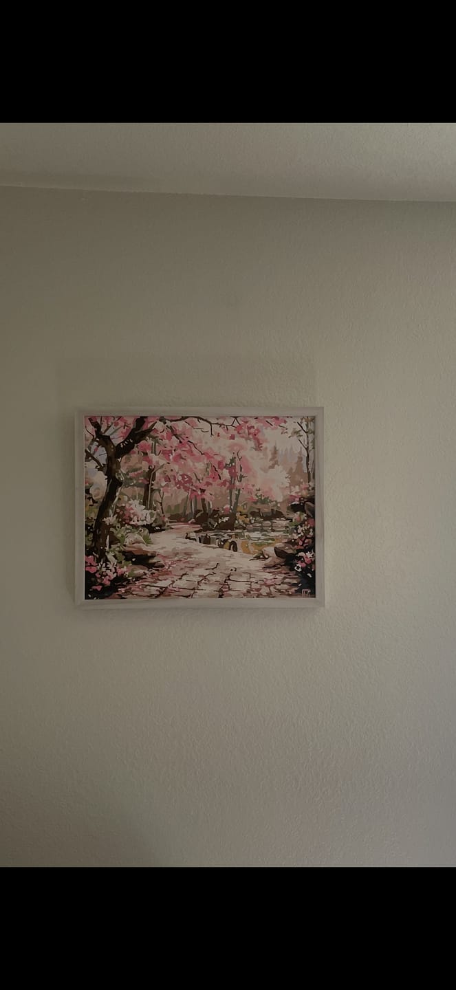 Customer photo review of Serene Sakura Stone Path