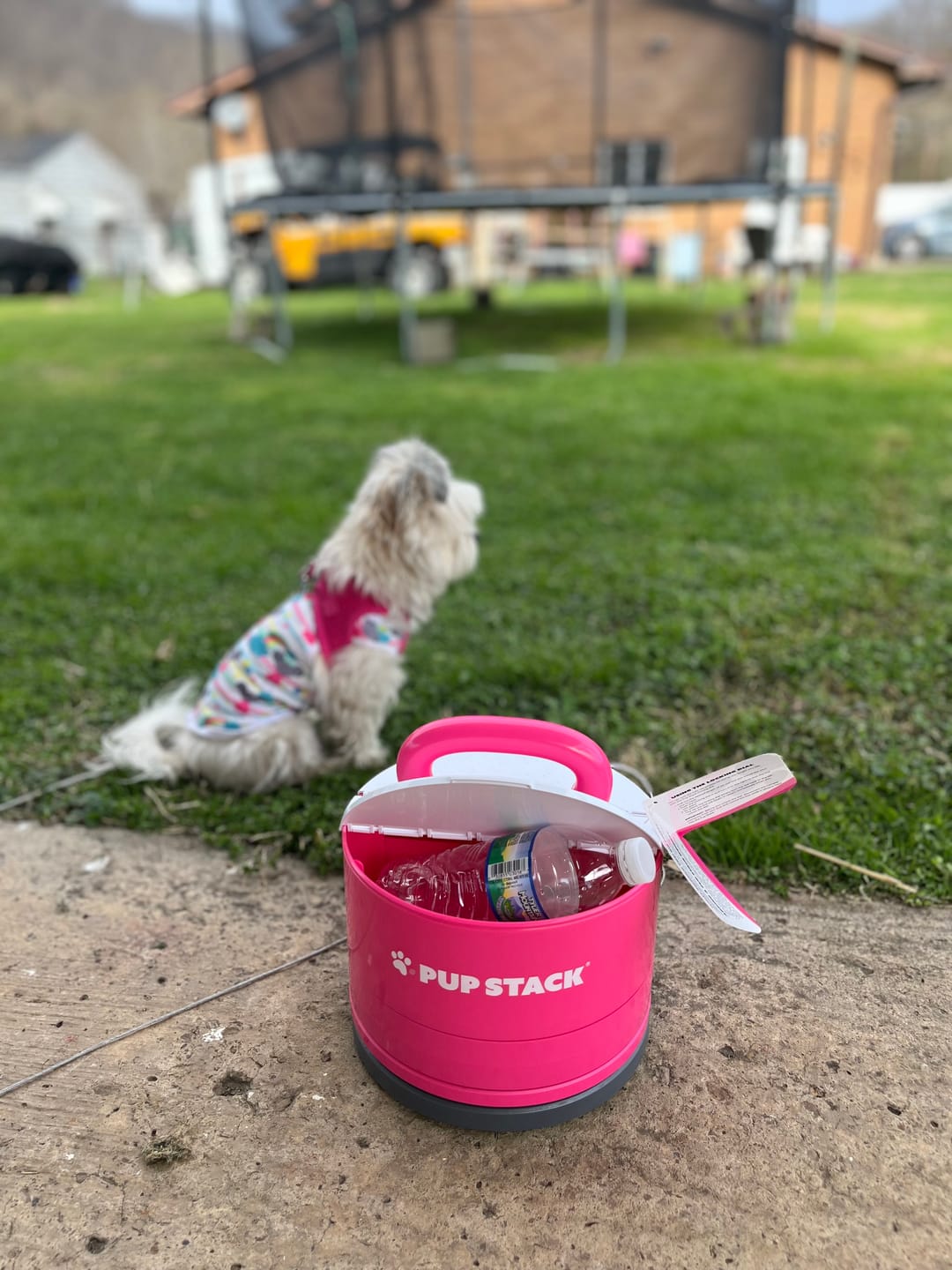 Customer photo review of Pup Stack